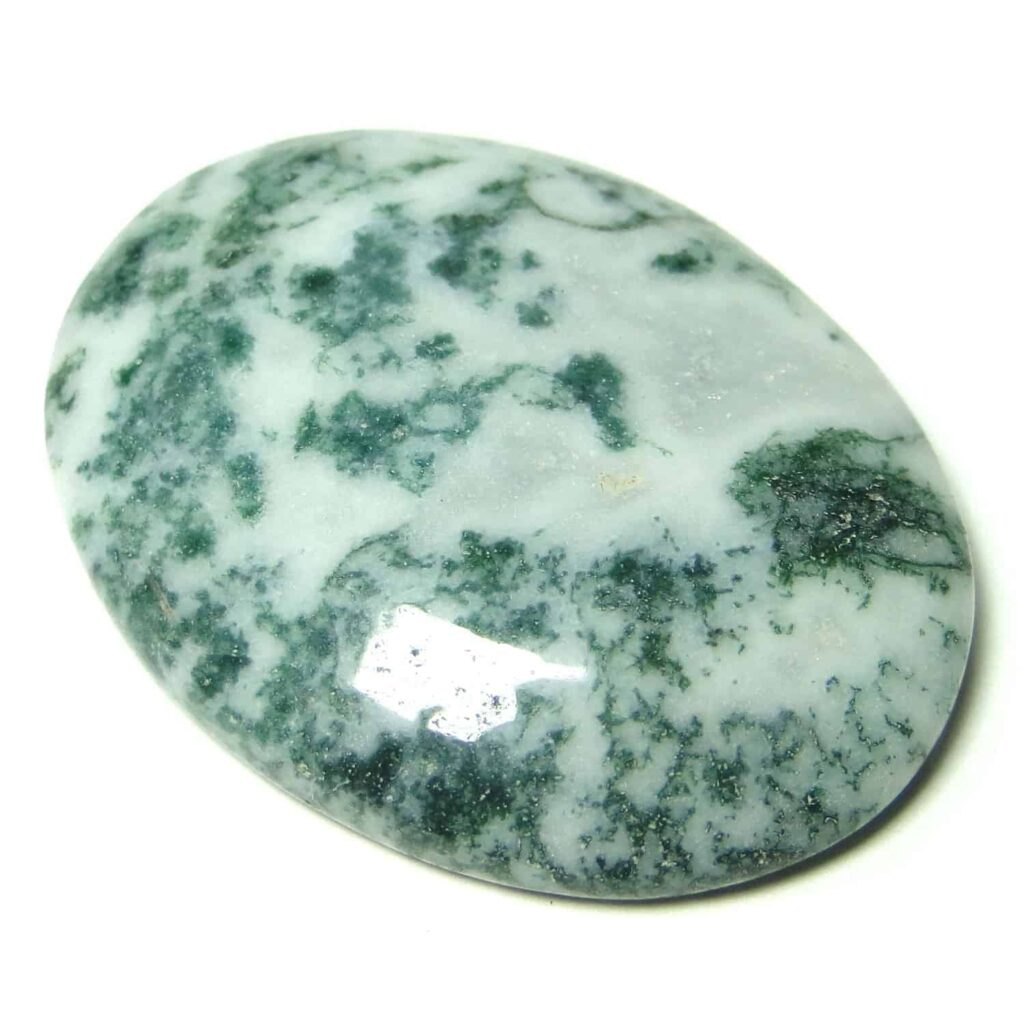 Dendritic Agate(Tree Agate)