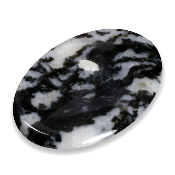 Zebra Jasper